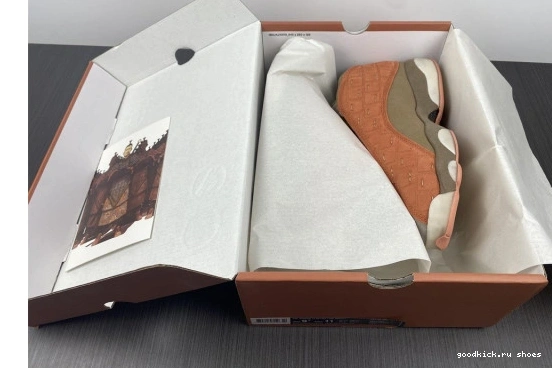 CLOT SEPIA BLUSH JORDAN CANTEEN-TERRA AT3102-200 AT3102-200 AIR X 13 LOW STONE 0423